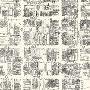 old Toronto map