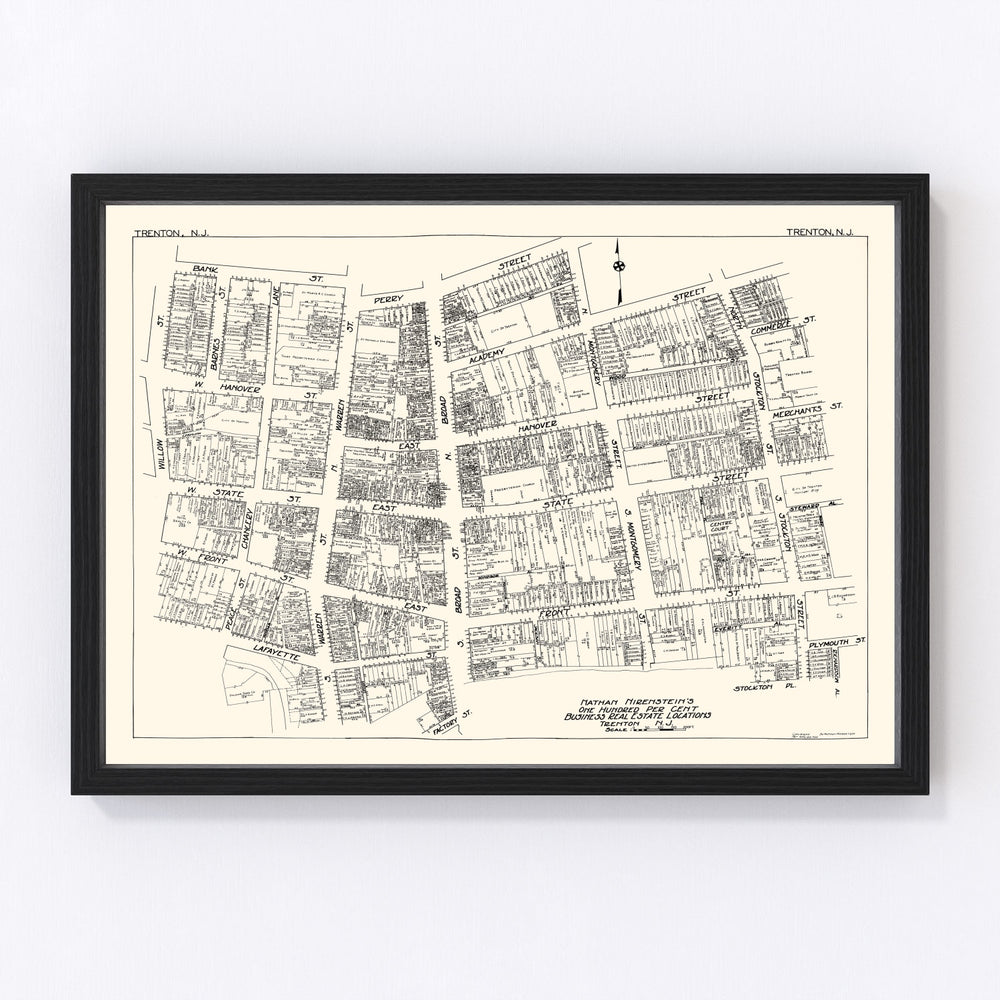 Trenton Vintage Map 1929