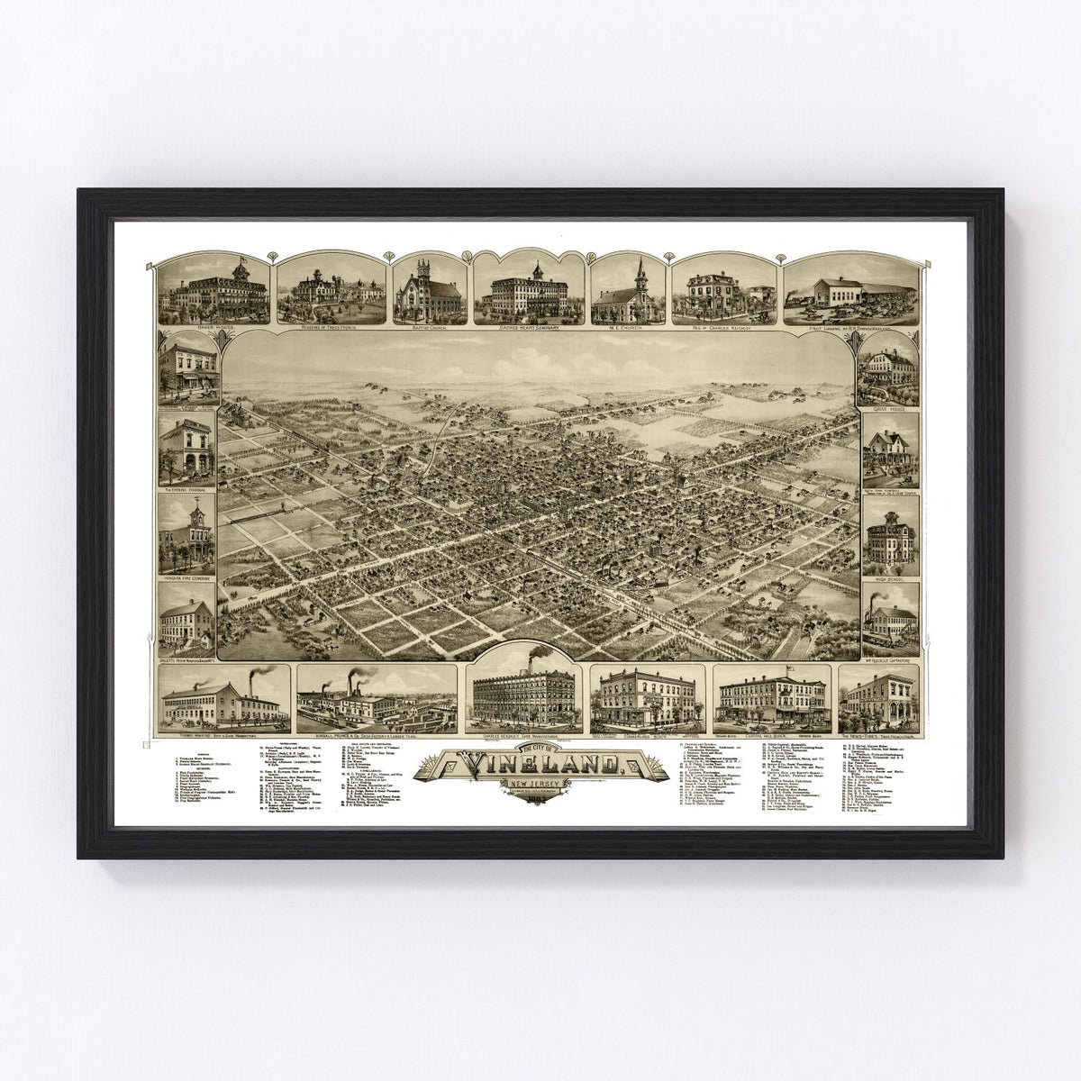 Vineland Vintage Map 1885