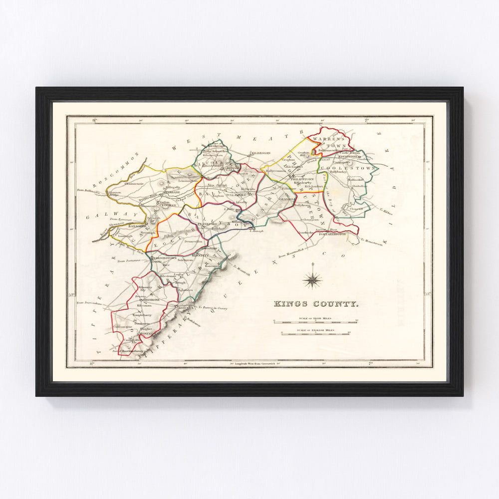 Kings County Ireland Vintage Map 1846