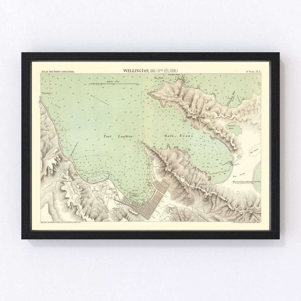 Wellington Vintage Map 1881