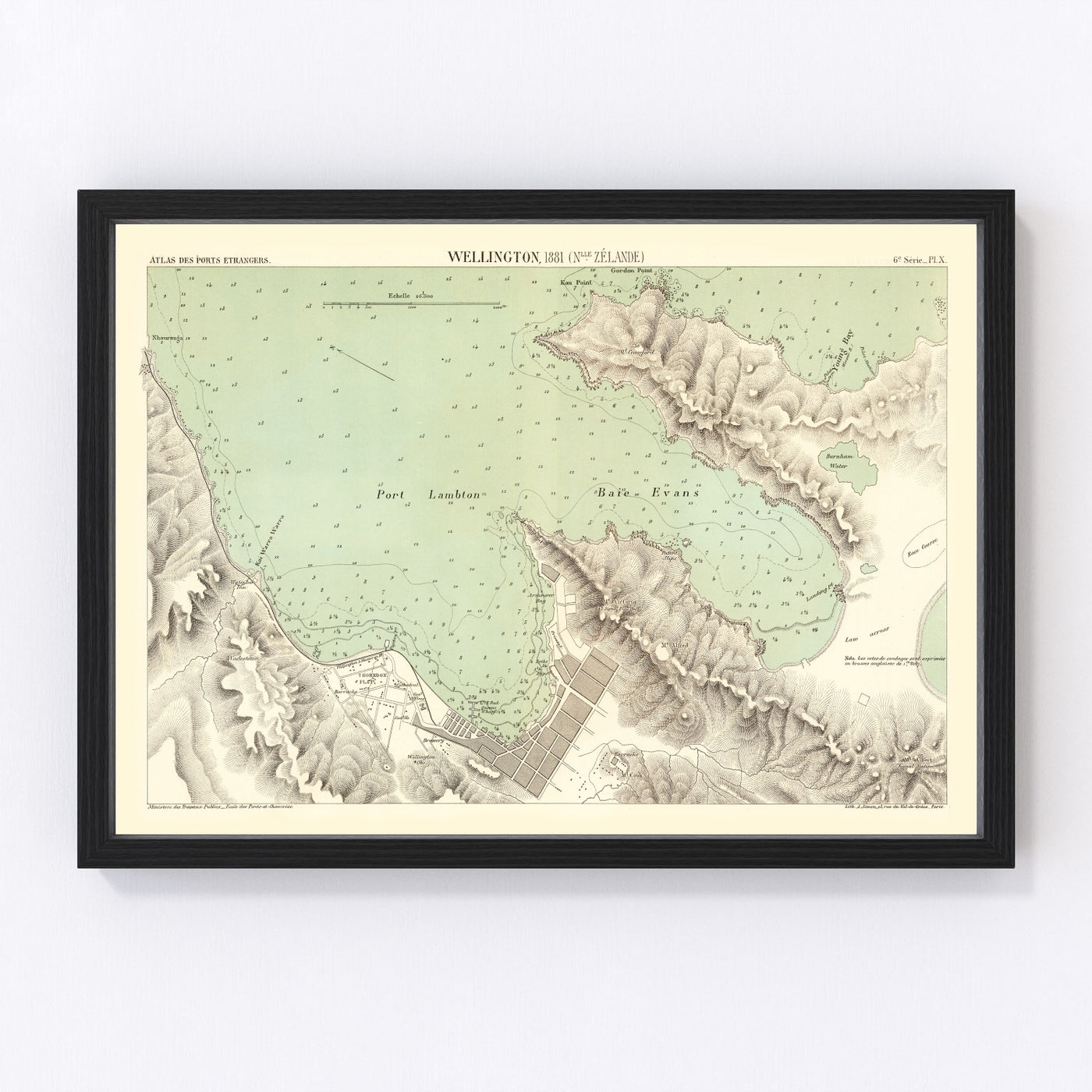 Wellington Vintage Map 1881