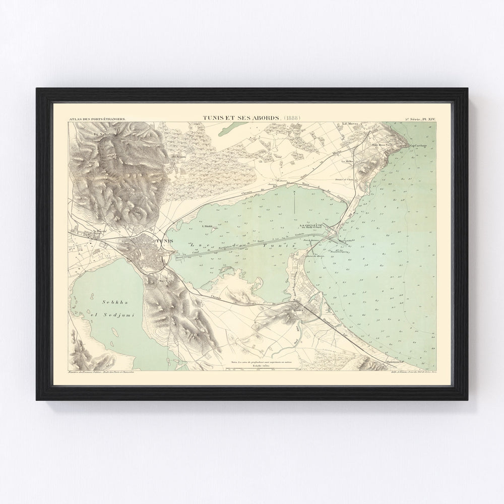 Tunis Vintage Map 1888