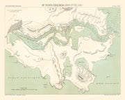 Dunedin history