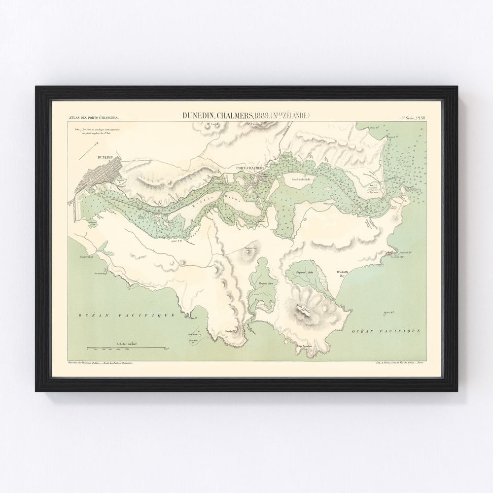Dunedin Vintage Map 1889