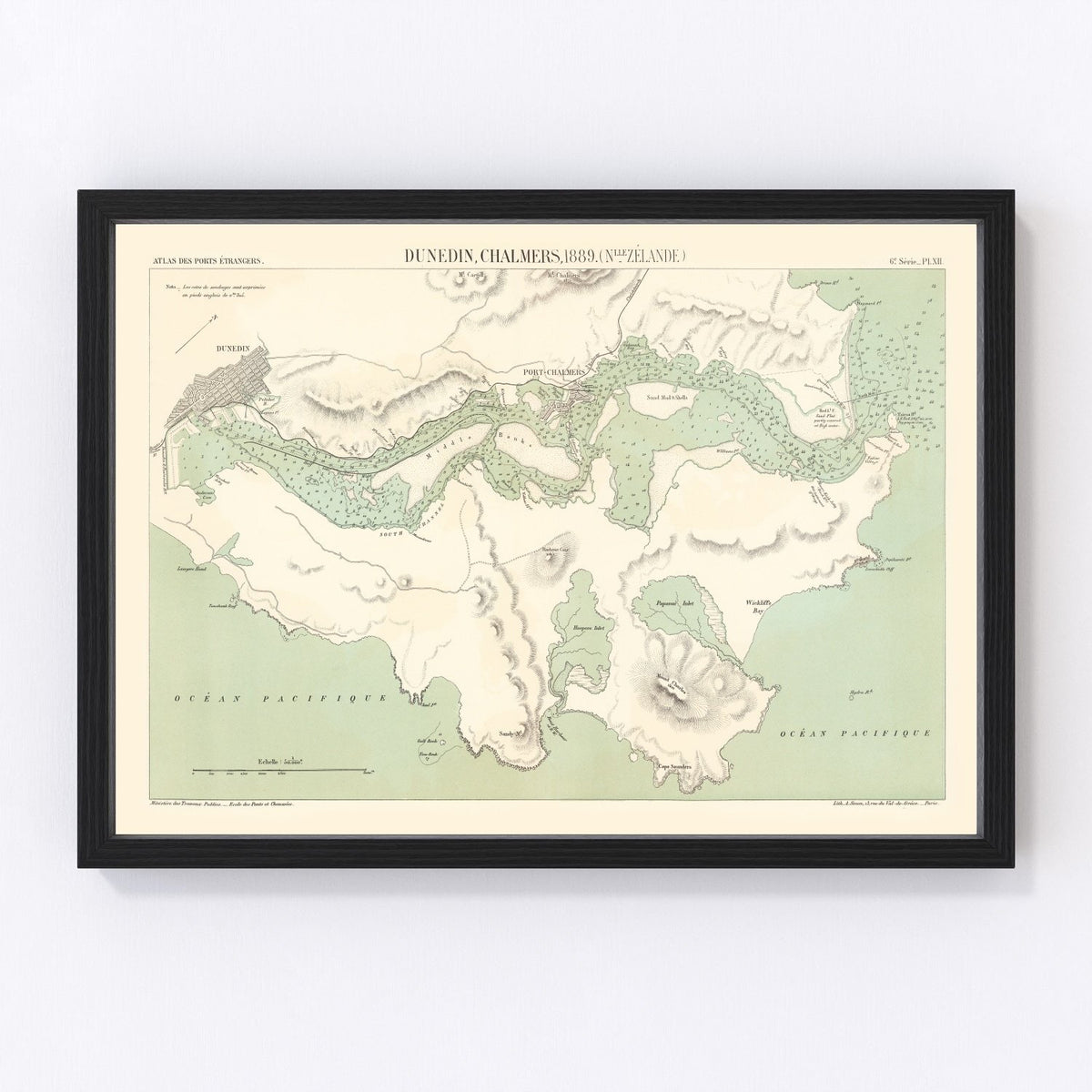 Dunedin Vintage Map 1889
