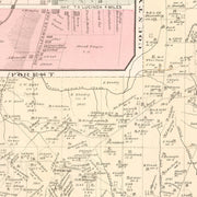 old Jamestown map
