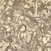 old military map