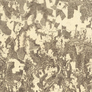 old military map