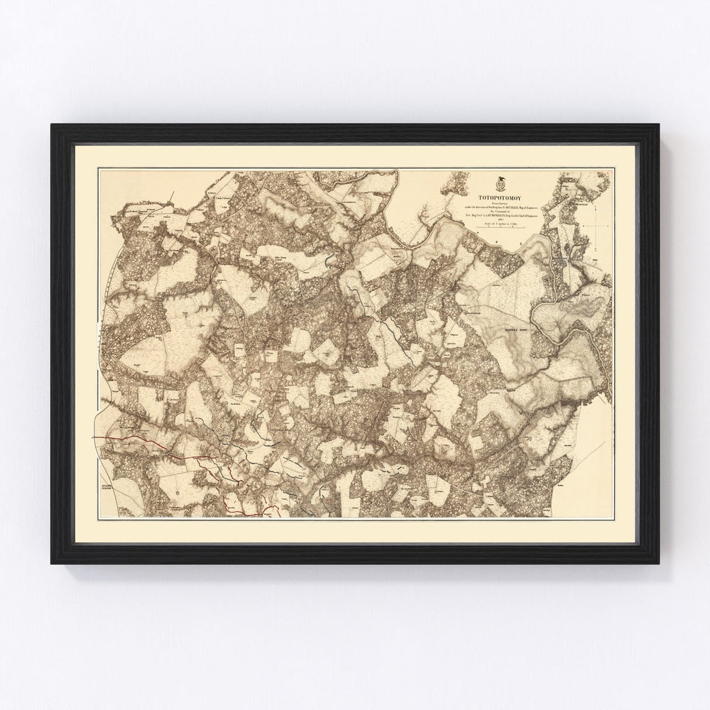 Virginia Vintage Map 1869
