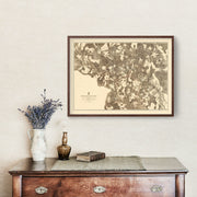 old military map