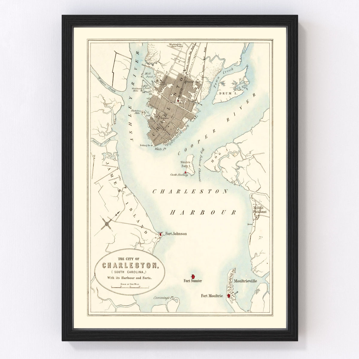 Charleston Vintage Map 1857