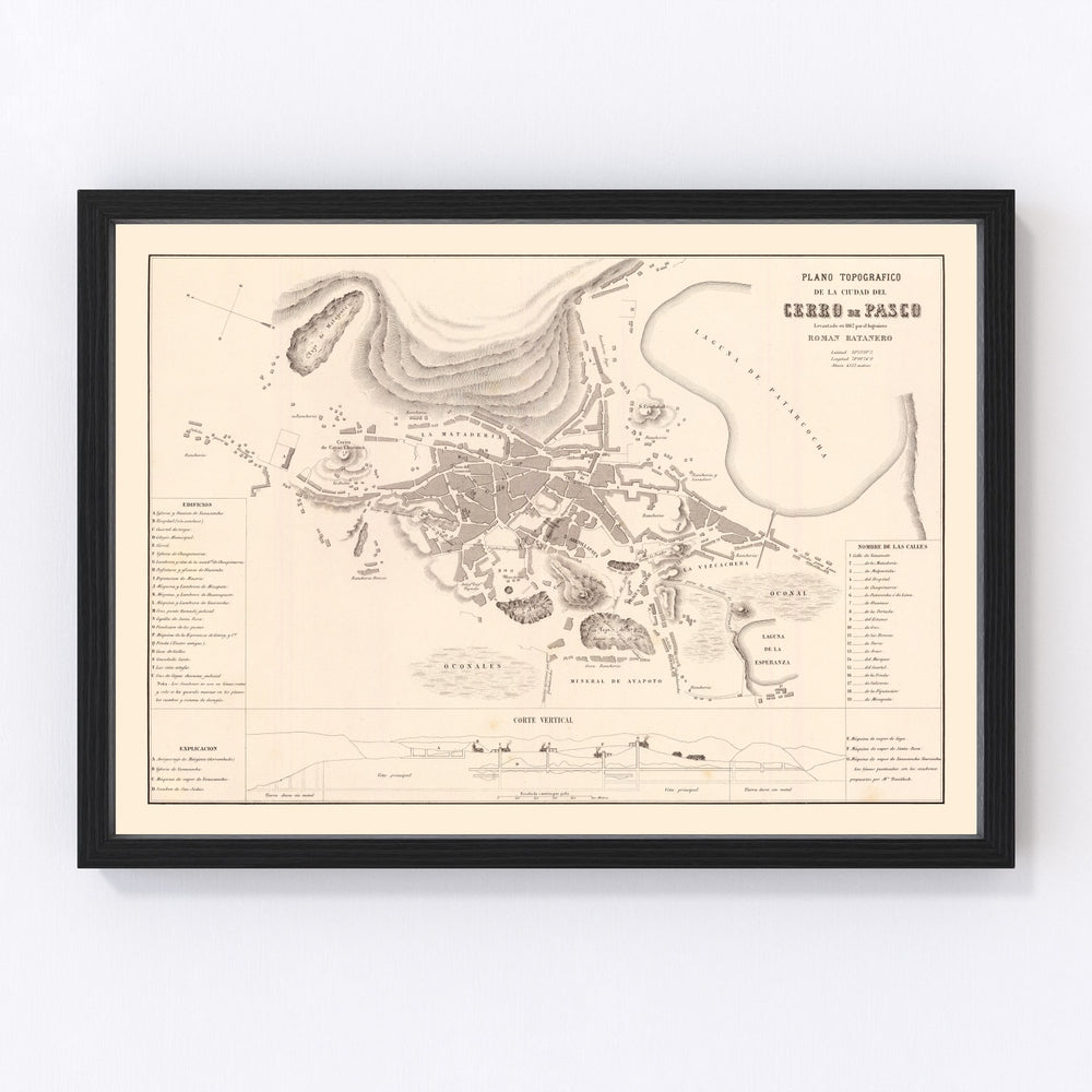 Cerro de Pasco Vintage Map 1865