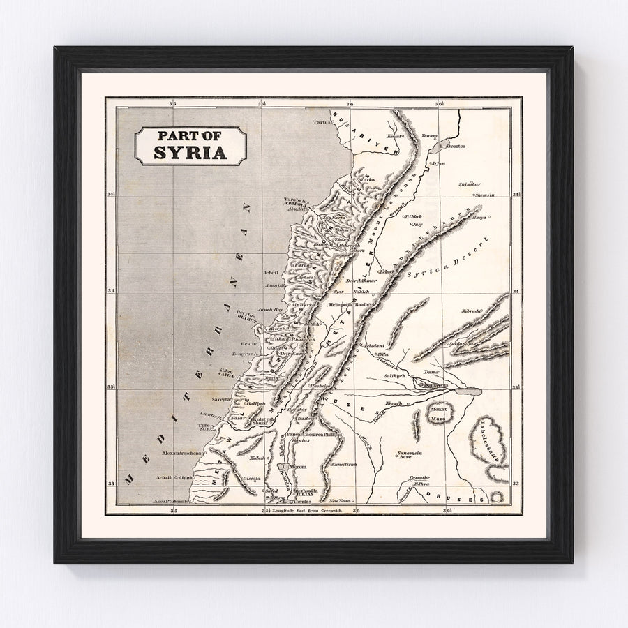 Vintage Map of Syria 1848