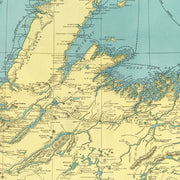 old Newfoundland Can