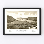 Hallstead Vintage Map 1887