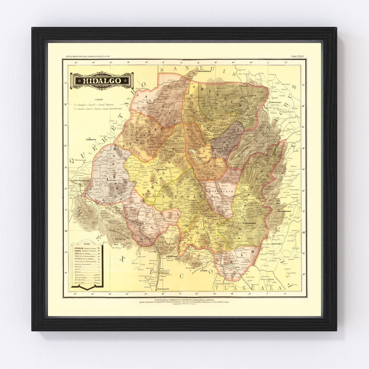 Hidalgo Mexico Vintage Map 1886