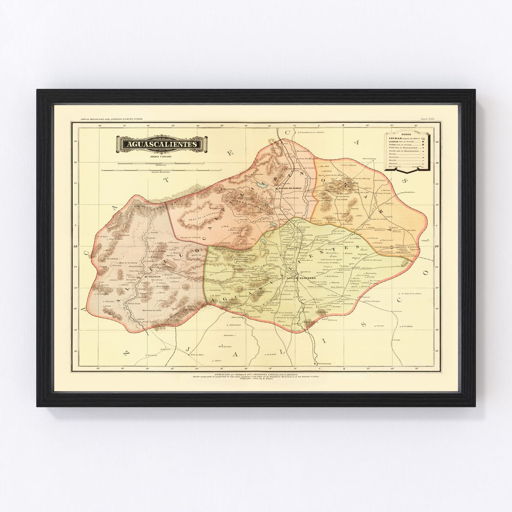 Aguascalientes Mexico Vintage Map 1886