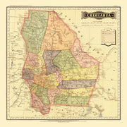 Chihuahua Mexico his