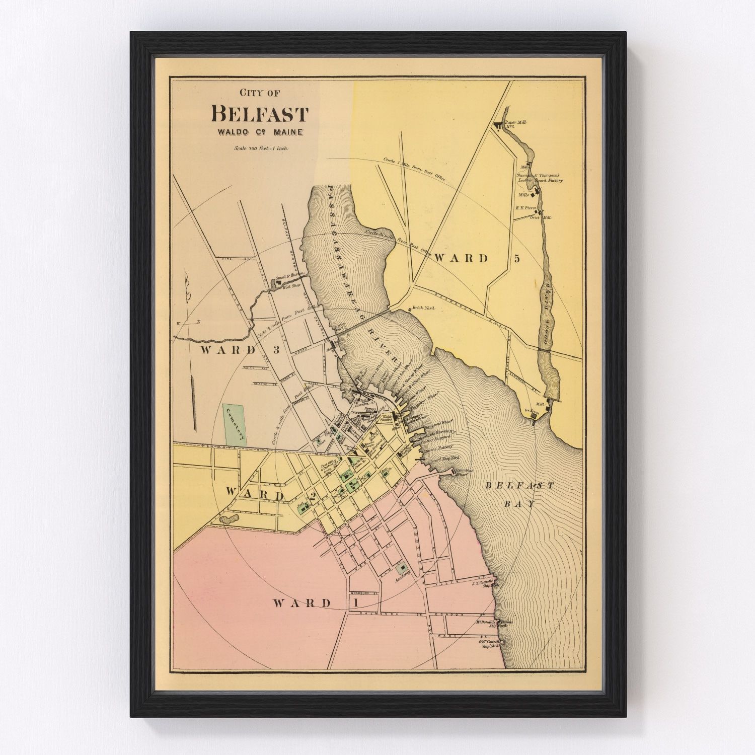 Vintage Map of Belfast, Maine 1894 by Ted's Vintage Art