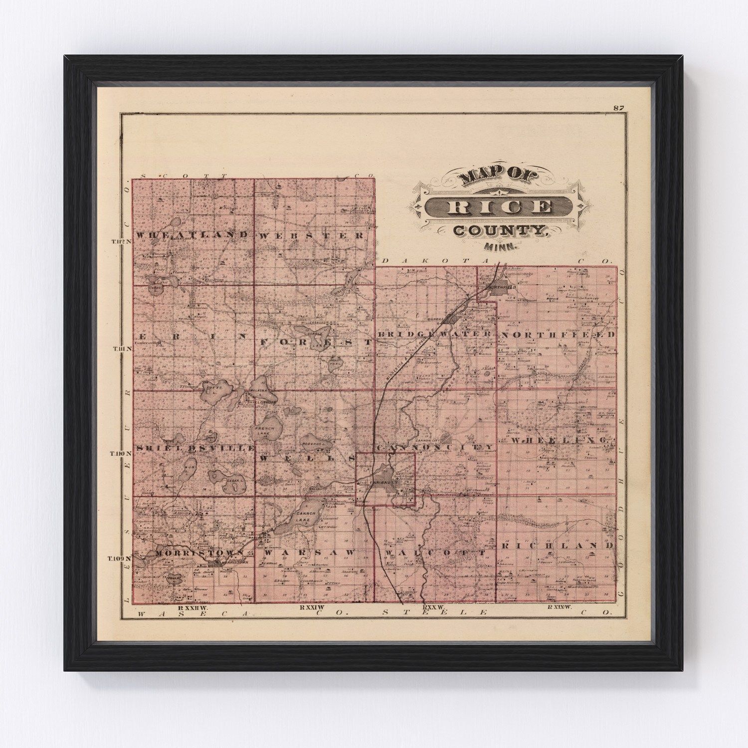 Vintage Map Of Rice County Minnesota 1874 By Ted S Vintage Art   4543 