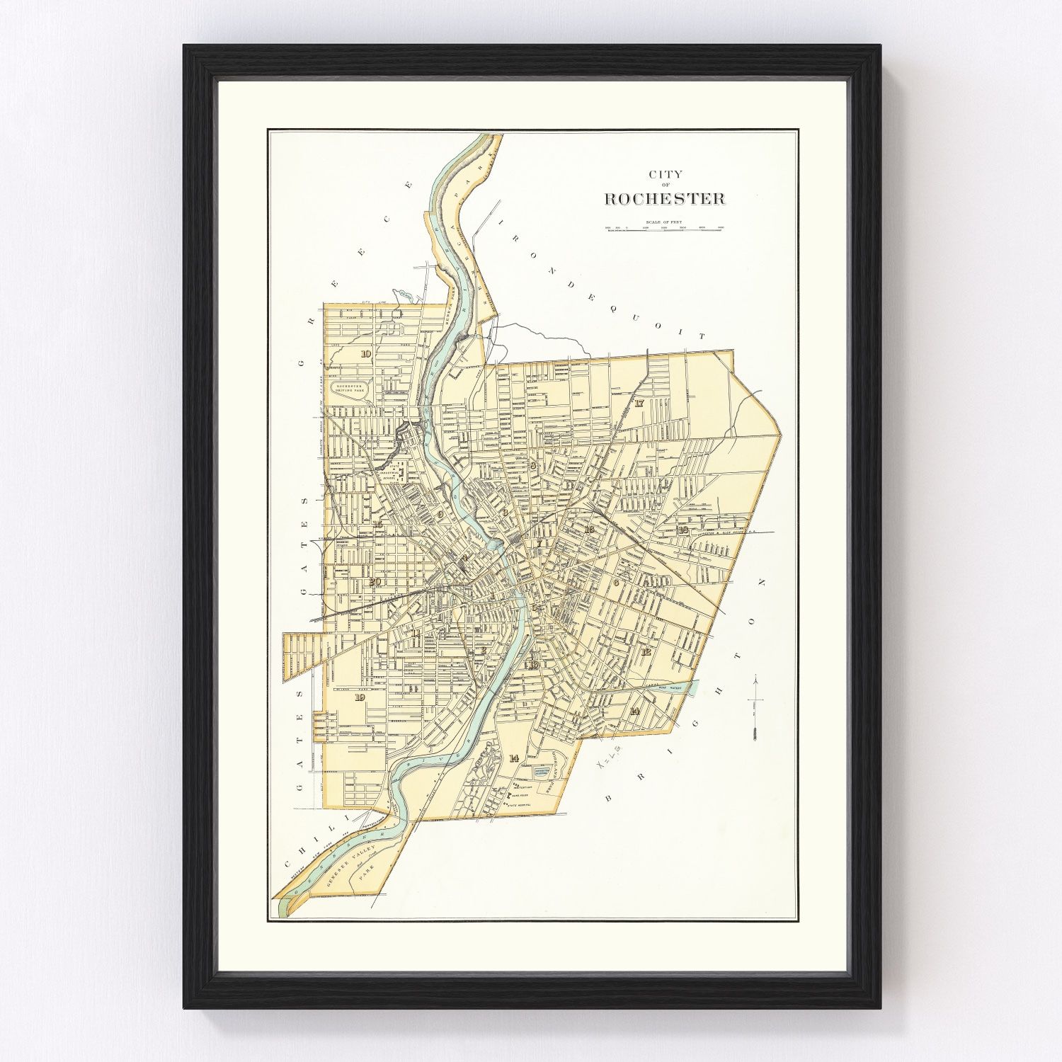 Vintage Map of Rochester, New York 1895 by Ted's Vintage Art