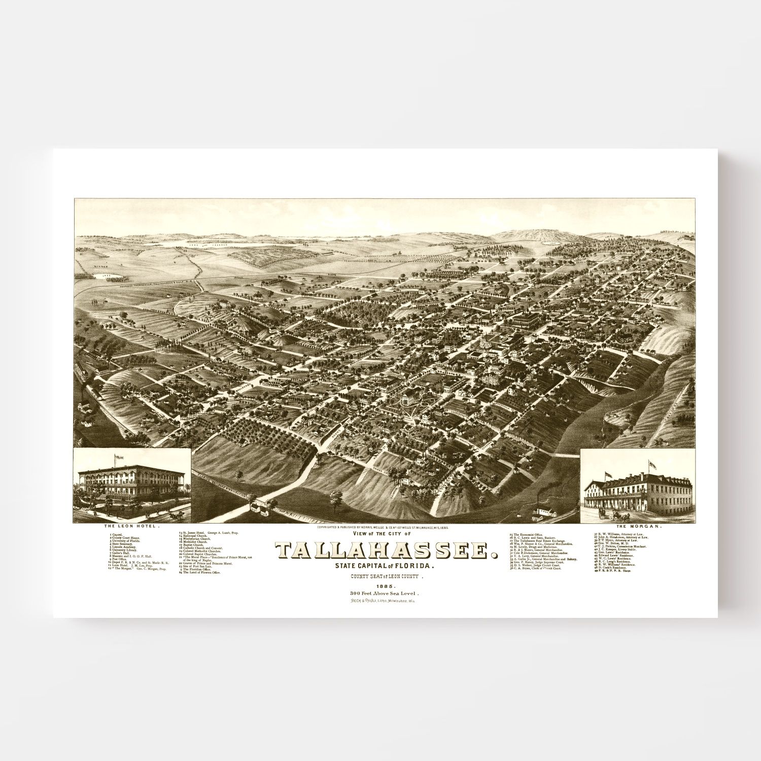 Vintage Map of Tallahassee, Florida 1885 by Ted's Vintage Art