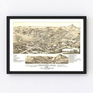 Vintage Map of Trinidad, Colorado 1882