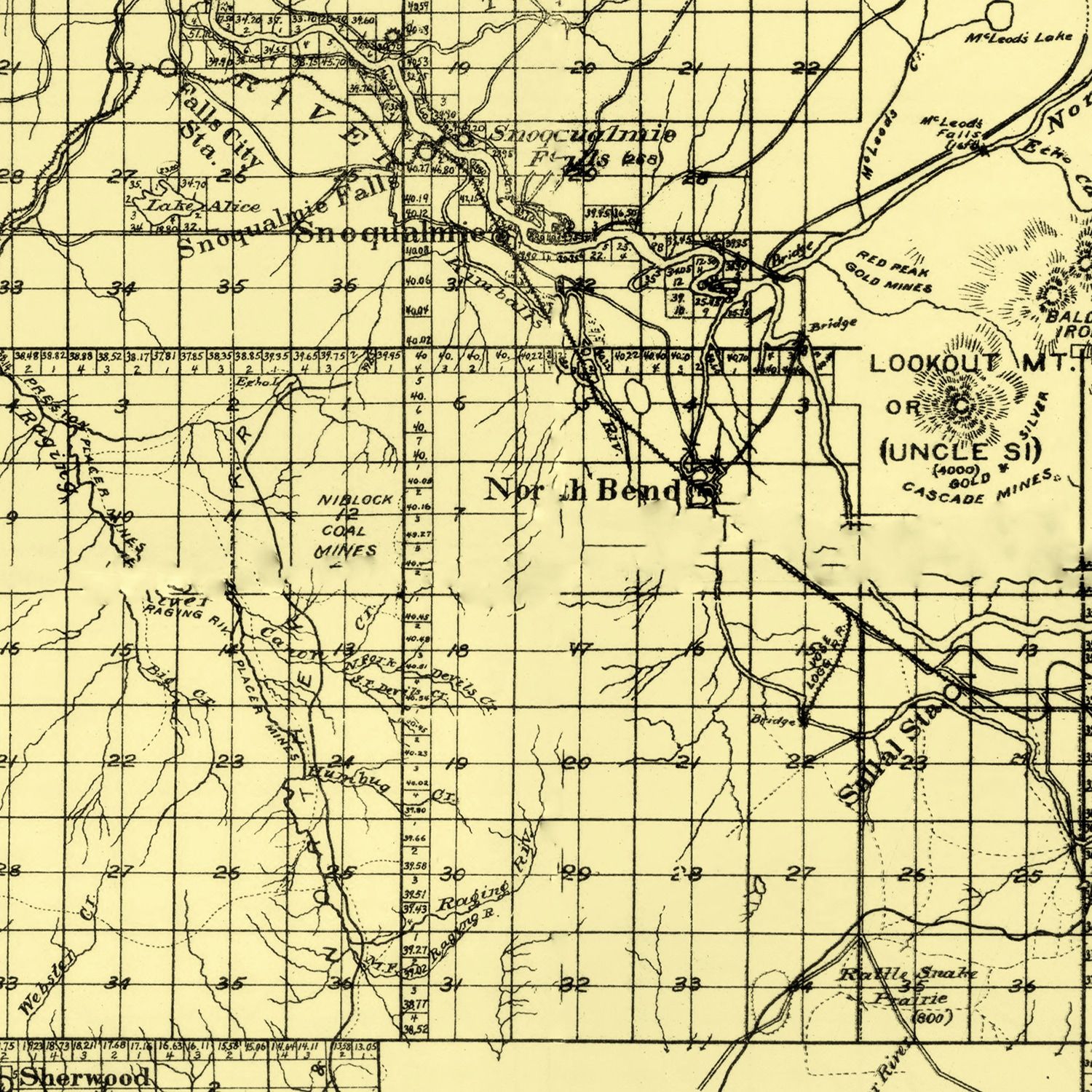 Vintage Map of King County, Washington 1894 by Ted's Vintage Art