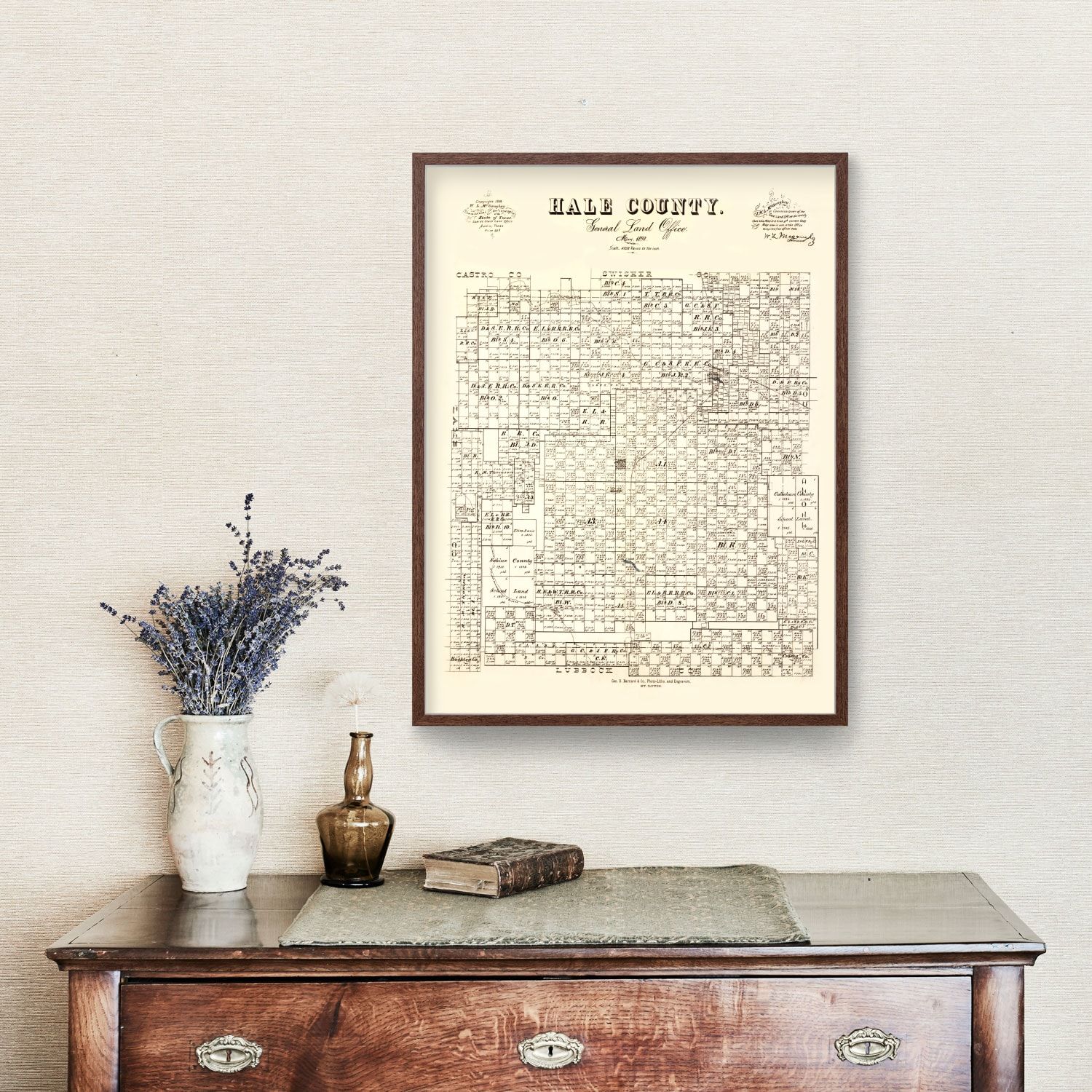 Vintage Map of Hale County, Texas 1892 4