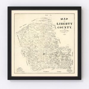 Vintage Map of Liberty County, Texas 1895