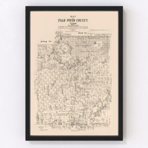 Vintage Map of Palo Pinto County, Texas 1879