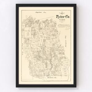 Vintage Map of Tyler County, Texas 1879
