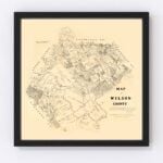 Vintage Map of Wilson County, Texas 1879