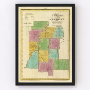 Vintage Map of Livingston County New York, 1829