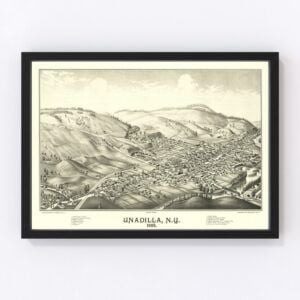 Vintage Map of Unadilla, New York 1887