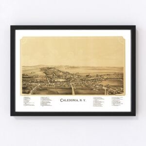 Vintage Map of Caledonia, New York 1892
