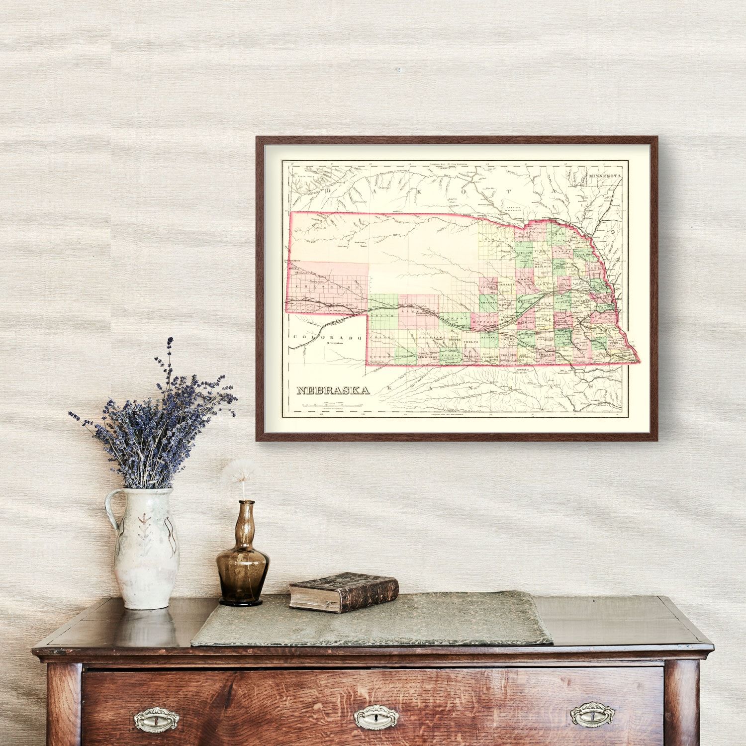 Vintage Map of Nebraska 1876 by Ted's Vintage Art